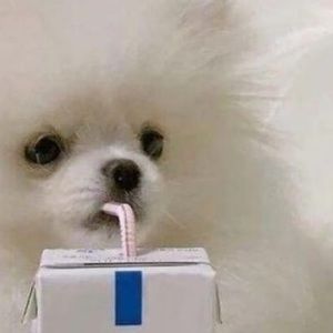 Meet your Posher, Mia